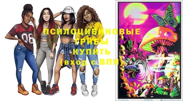 хмурый Алзамай