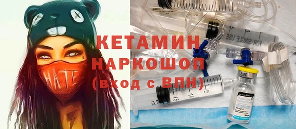 крисы Абаза
