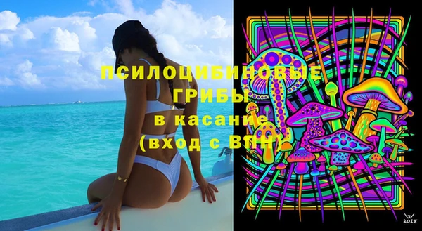 крисы Абаза