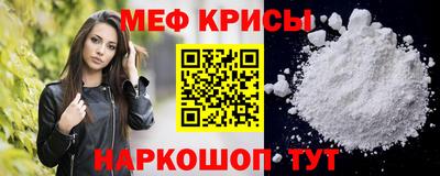 индика Камышлов