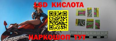 индика Камышлов