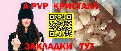 индика Камышлов