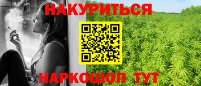 индика Камышлов