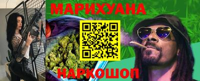 индика Камышлов