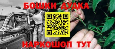 индика Камышлов
