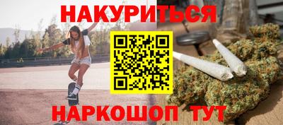 индика Камышлов