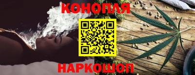 индика Камышлов