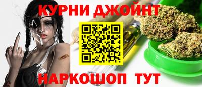 индика Камышлов