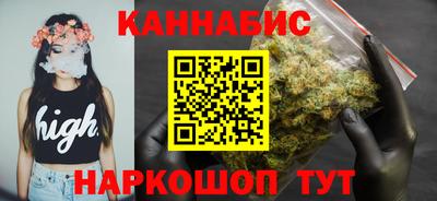 индика Камышлов