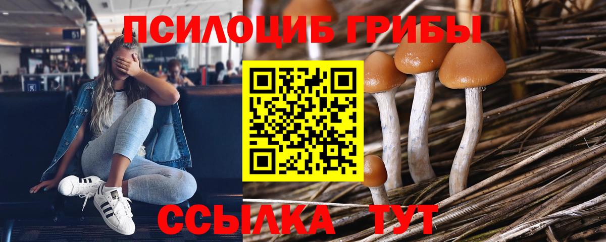 Псилоцибиновые грибы прущие грибы  Вход с VPN  Псилоцибиновые грибы прущие грибы  Севастополь 