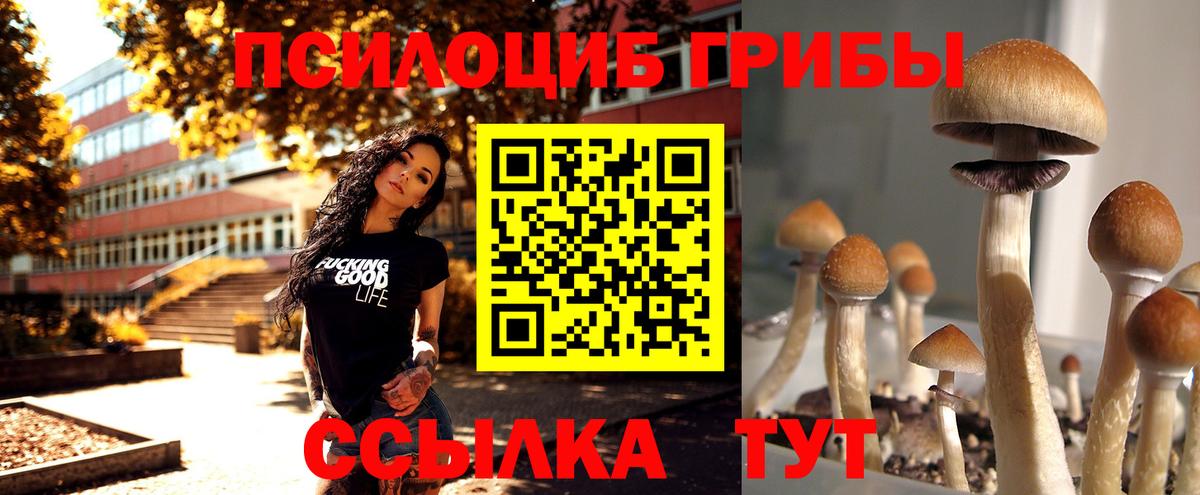 Псилоцибиновые грибы мухоморы Севастополь